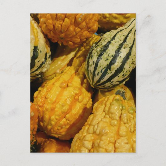 Herfst Squash Briefkaart (Voorkant)