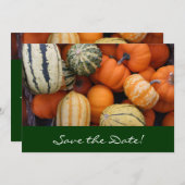 Herfst Squash Harvest Save the Date Kaart (Voorkant / Achterkant)