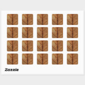 Herfst Sticker (Vel)