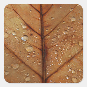 Herfst Sticker