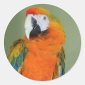 Herfst sticker (Voorkant)