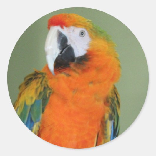 Herfst sticker (Voorkant)