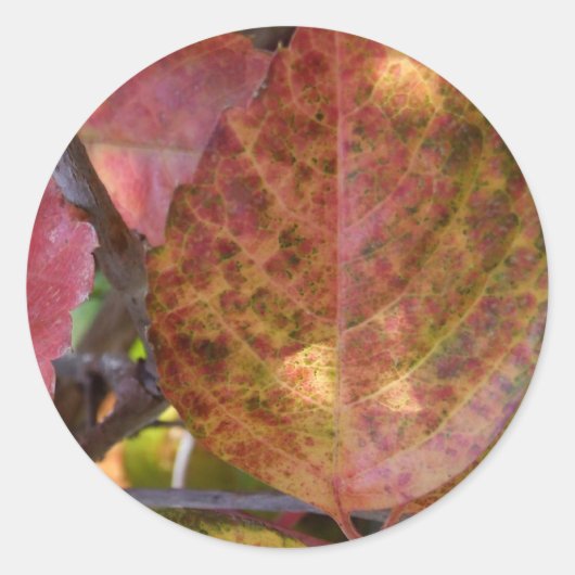 Herfst Stickers (Voorkant)