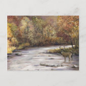 Herfst Stream Art Briefkaart (Voorkant)