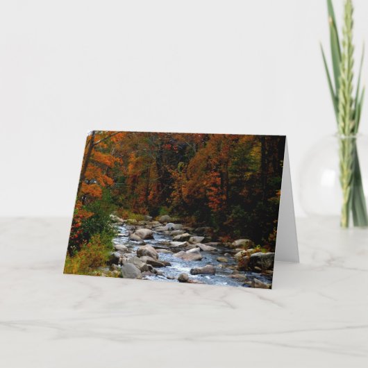 Herfst stream Blank wenskaart Kaart (Voorkant)