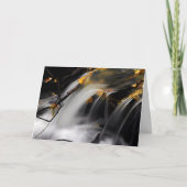 HERFST STREAM: Lente van het Leren Kaart (Voorkant)