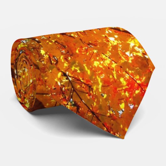 Herfst Stropdas (Opgerold)