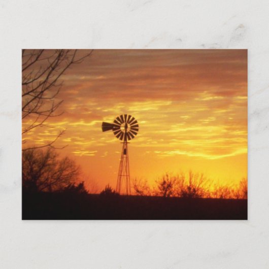 Herfst Sunset Briefkaart (Voorkant)