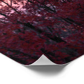 Herfst Sunset Over Trees Mooi Poster (Hoek)