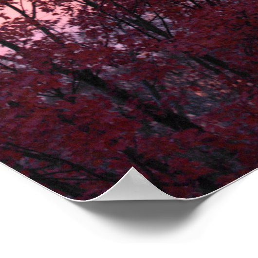 Herfst Sunset Over Trees Mooi Poster (Hoek)