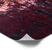 Herfst Sunset Over Trees Mooi Poster (Hoek)