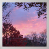 Herfst Sunset Over Trees Mooi Poster (Voorkant)