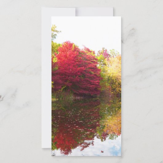 Herfst Sympathie Memorial Flat Dank u Bedankkaart (Achterkant)