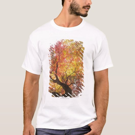 herfst t-shirt (Voorkant)