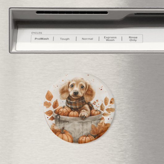 Herfst teckel honden pompoen magneet (Insitu (Vaatwasser))