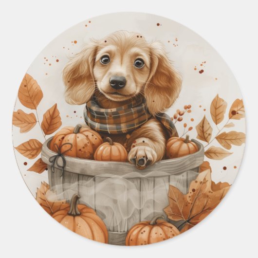 Herfst teckel honden pompoen ronde sticker (Voorkant)