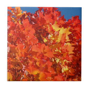 Herfst Tegels Kunst Oranje Herfst Boom Bladeren Ku Tegeltje