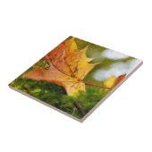 Herfst Tegeltje (Zijkant)