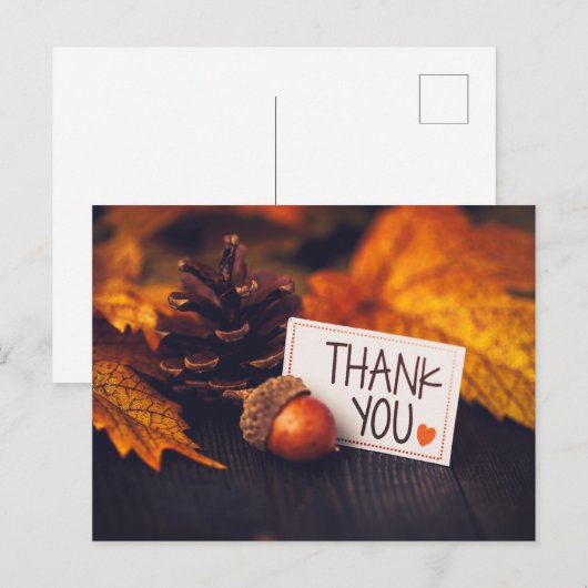 Herfst Thanksgiving Fotografie Pumpkin Fotografie Briefkaart (Voorkant / Achterkant)