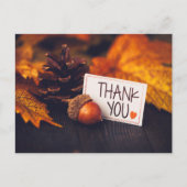 Herfst Thanksgiving Fotografie Pumpkin Fotografie Briefkaart (Voorkant)