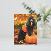 Herfst Thanksgiving - Gidget - Poedel Feestdagenkaart (Staand voorkant)