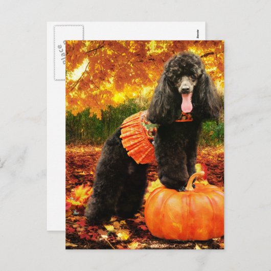 Herfst Thanksgiving - Gidget - Poedel Feestdagenkaart (Voorkant / Achterkant)