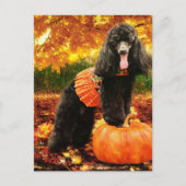 Herfst Thanksgiving - Gidget - Poedel Feestdagenkaart (Voorkant)