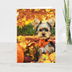 Herfst Thanksgiving - Max - Yorkie Feestdagen Kaart