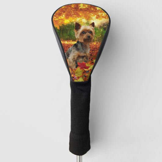 Herfst Thanksgiving - Tucker - Yorkie Golfheadcover (Voorkant)