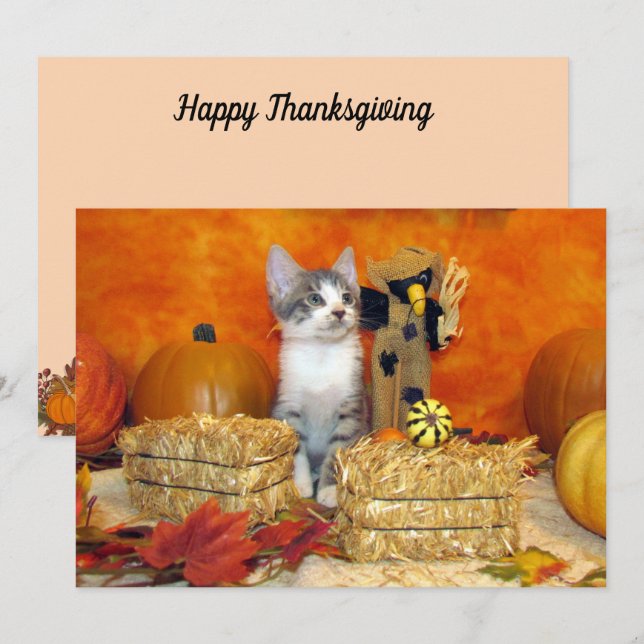 Herfst/Thanksgiving van varkenskarper - Kaart van  (Voorkant / Achterkant)