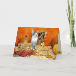Herfst/Thanksgiving van varkenskarper - Kaart van