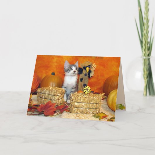 Herfst/Thanksgiving van varkenskarper - Kaart van (Voorkant)