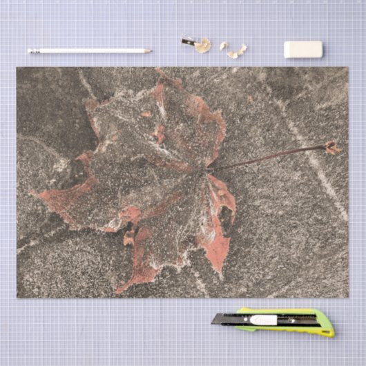 Herfst Thaple Leaf  Sepia Autumn Tissuepapier (Craft)