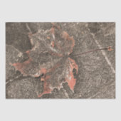 Herfst Thaple Leaf  Sepia Autumn Tissuepapier (Voorkant)