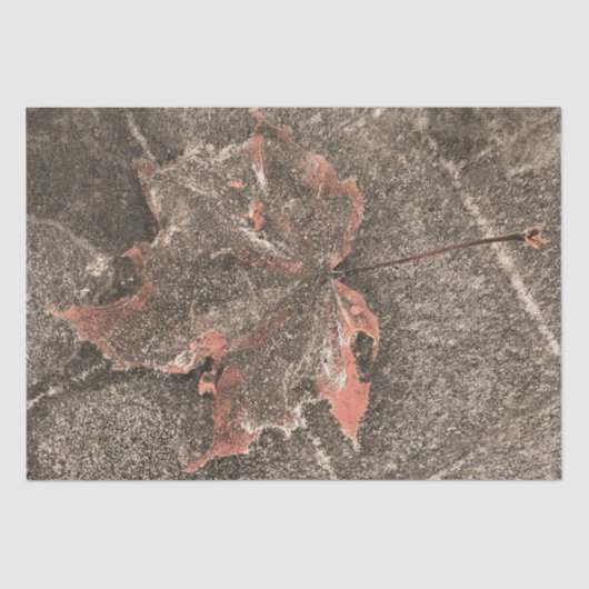 Herfst Thaple Leaf  Sepia Autumn Tissuepapier (Voorkant)