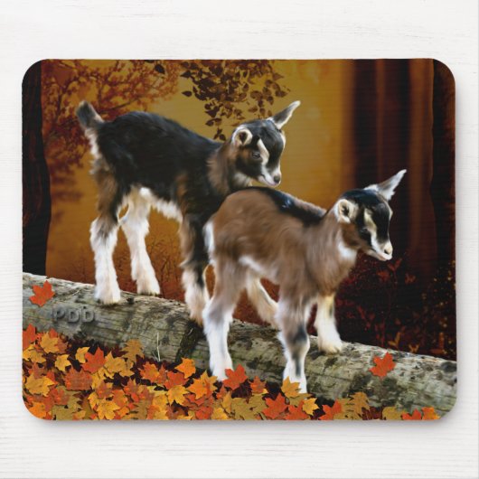 Herfst Thema Babygeiten Muismat (Voorkant)