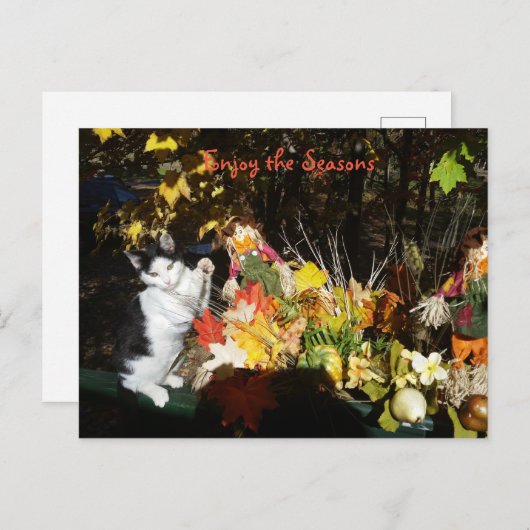 Herfst thema kat bladwijzer of feestdagenkaart (Voorkant / Achterkant)