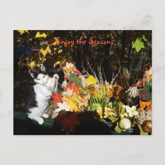 Herfst thema kat bladwijzer of feestdagenkaart (Voorkant)