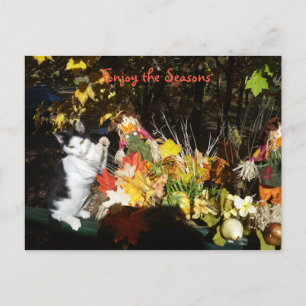 Herfst thema Kat bookmarker of Feestdagenkaart