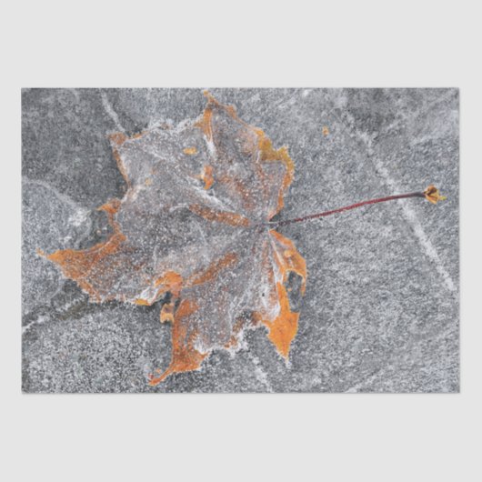 Herfst Thémle Leaf Oranje Grey Autumn Tissuepapier (Voorkant)