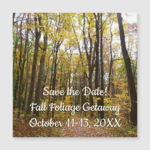 Herfst Trail en Golden Leaves in Laurel Hill Park