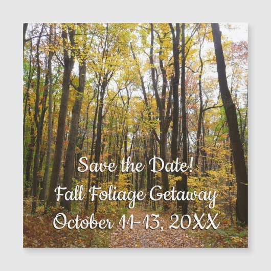 Herfst Trail en Golden Leaves in Laurel Hill Park (Voorkant)