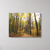 Herfst Trail en Golden Leaves in Laurel Hill Park Canvas Afdruk (Voorkant)