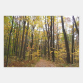 Herfst Trail en Golden Leaves in Laurel Hill Park Inpakpapier Vel (Voorkant)