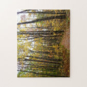 Herfst Trail en Golden Leaves in Laurel Hill Park Legpuzzel (Verticaal)