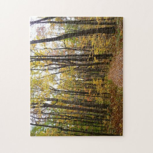 Herfst Trail en Golden Leaves in Laurel Hill Park Legpuzzel (Verticaal)