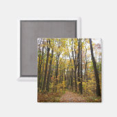 Herfst Trail en Golden Leaves in Laurel Hill Park Magneet (Voorkant / Achterkant)