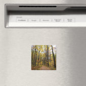 Herfst Trail en Golden Leaves in Laurel Hill Park Magneet (Insitu (Vaatwasser))