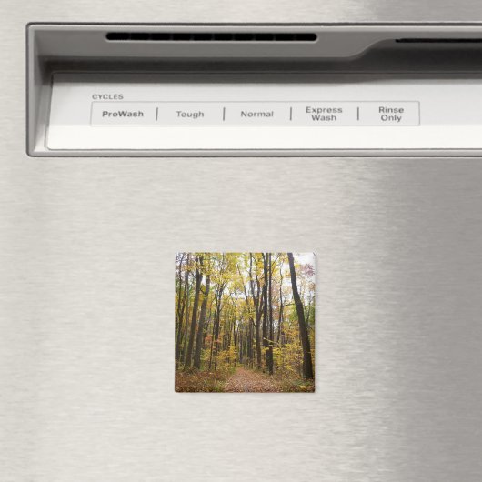 Herfst Trail en Golden Leaves in Laurel Hill Park Magneet (Insitu (Vaatwasser))