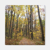 Herfst Trail en Golden Leaves in Laurel Hill Park Magneet (Voorkant)
